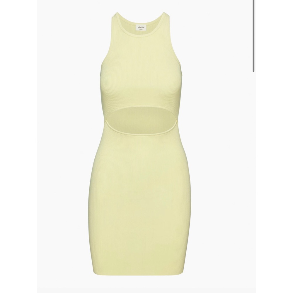 Aritzia Cut-Out Knit Tank Mini Dress